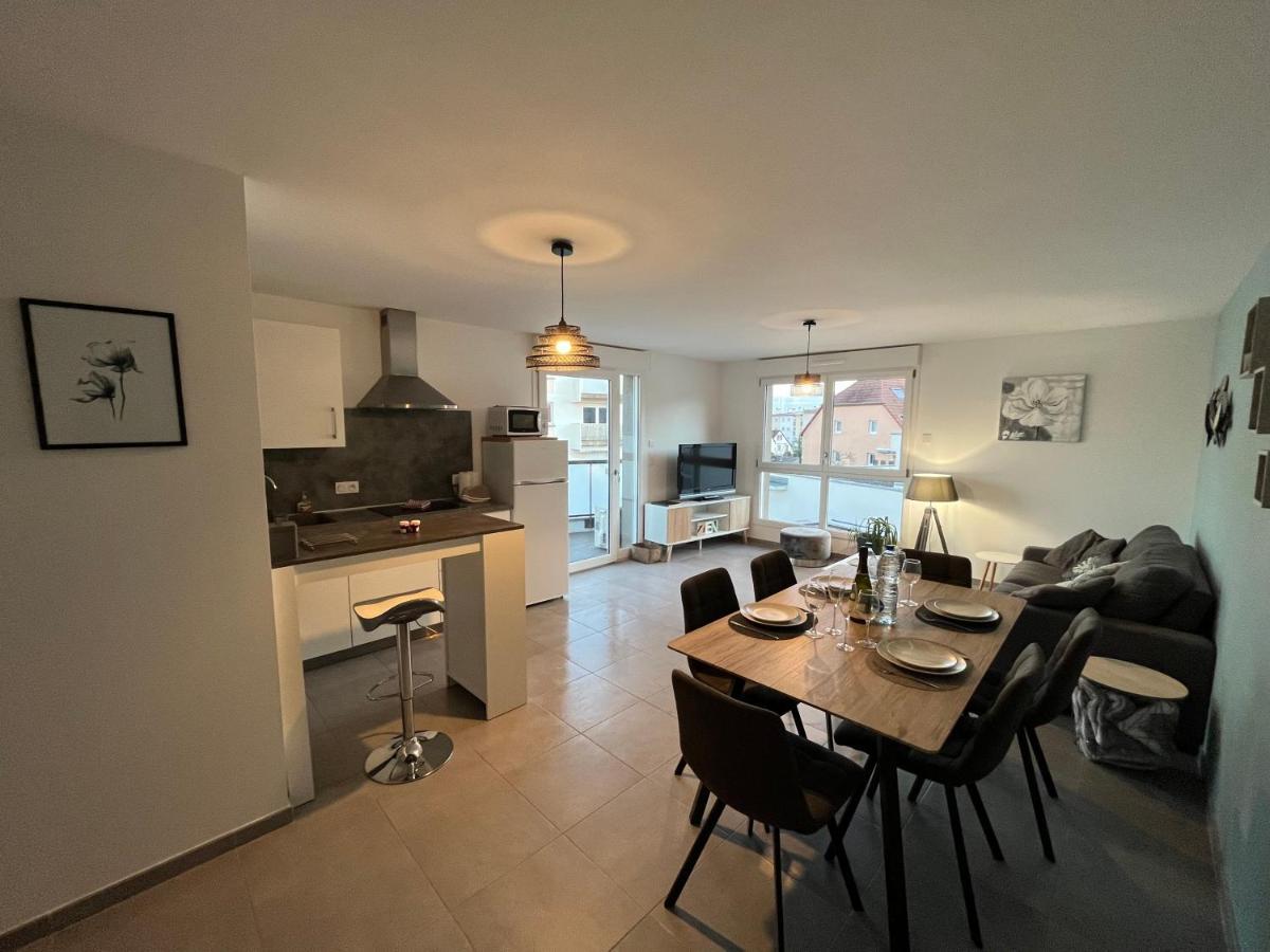 Appartement Magniolia Proche Centre Ville Colmar Zewnętrze zdjęcie
