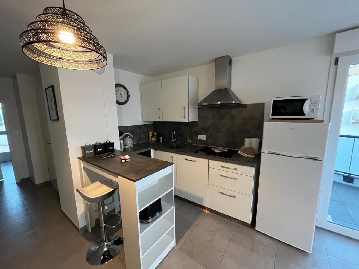 Appartement Magniolia Proche Centre Ville Colmar Zewnętrze zdjęcie
